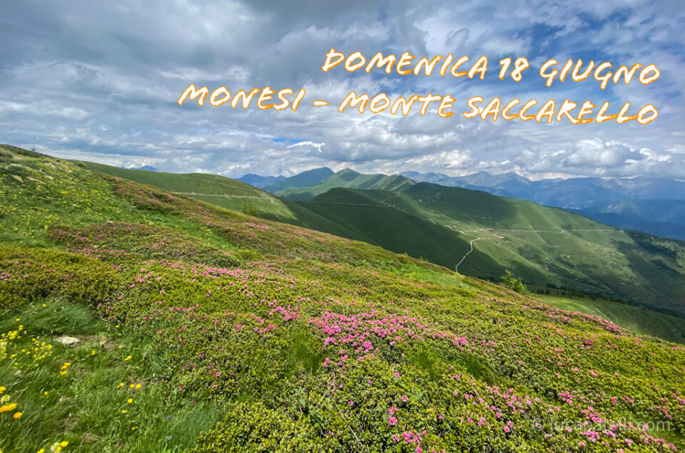 Domenica 18 giugno – Monesi – Monte Saccarello
