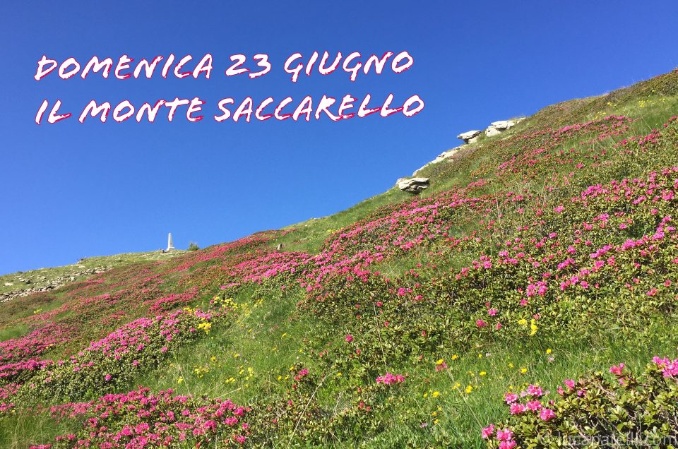 Domenica 23 giugno – Il Monte Saccarello